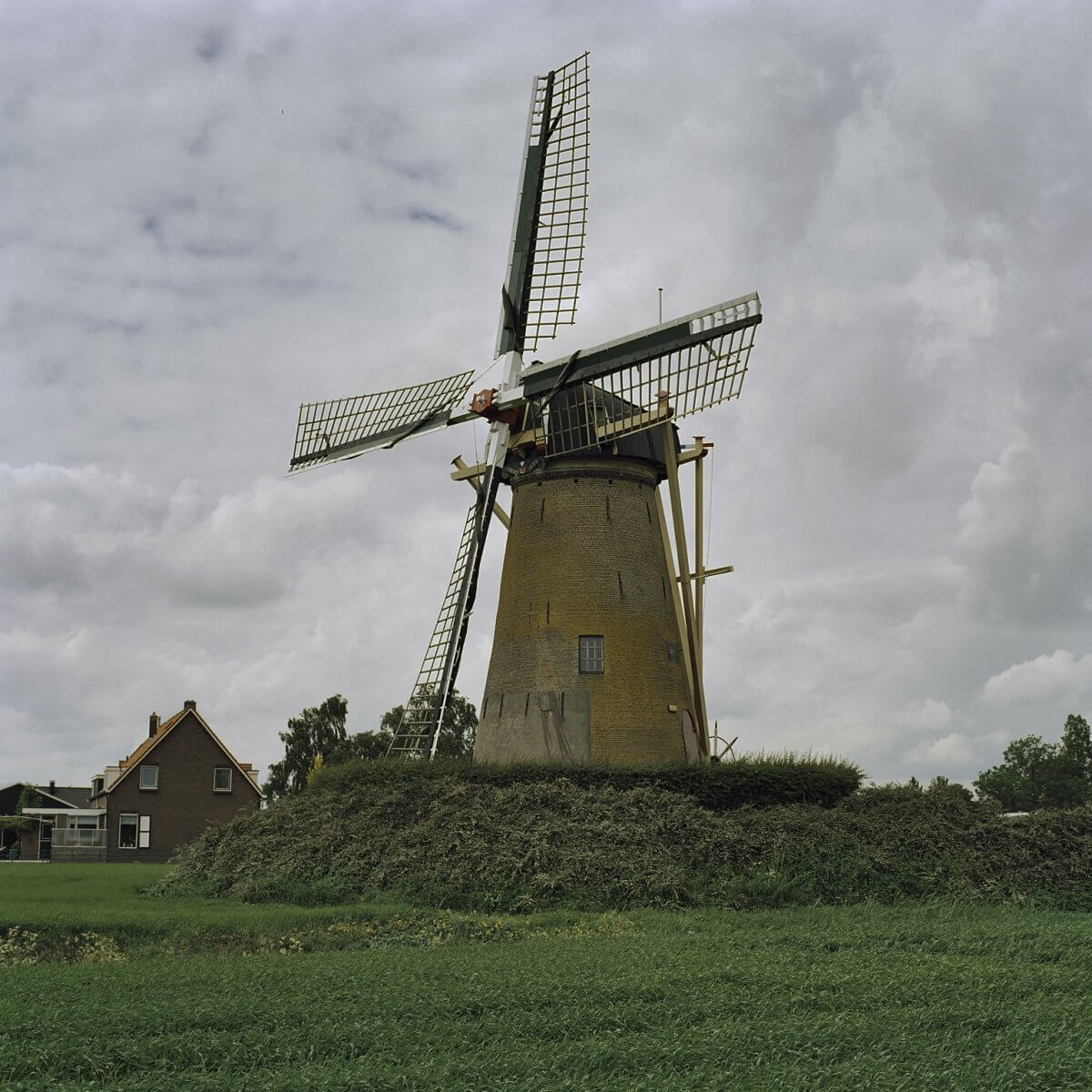 De Kersenboom Rijsoord